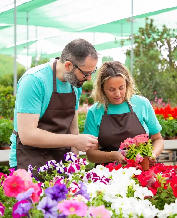 Formation Chef d'équipe